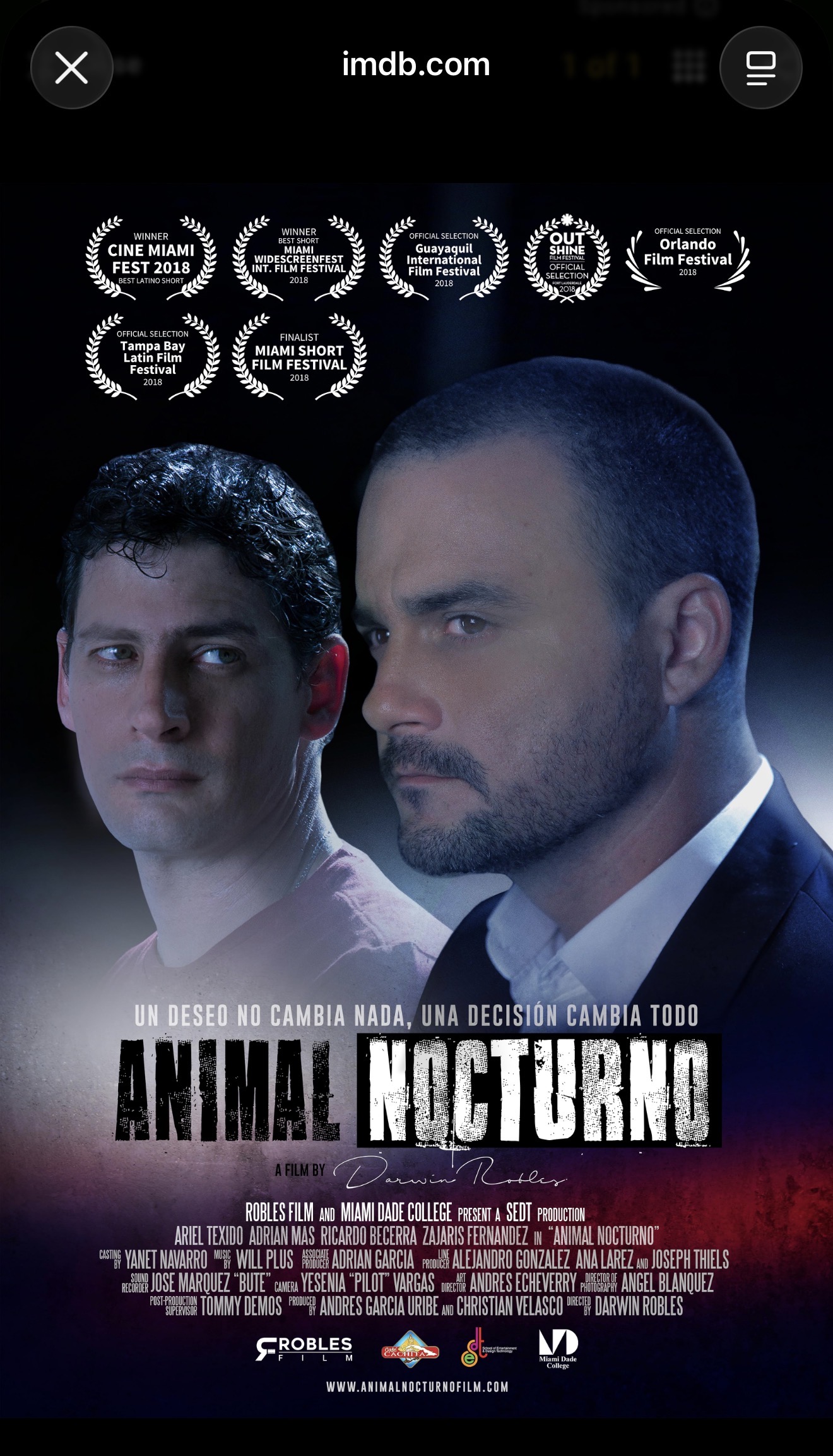 Animal Nocturno official poster featuring its film festival awards and Music by Will Plus credit